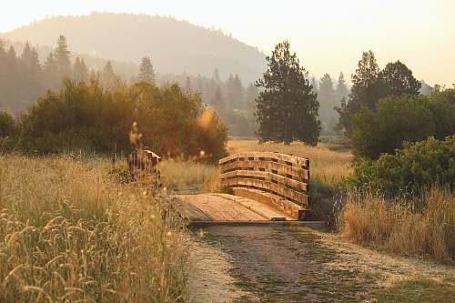 dirt road brown bridge near trees at daytime gravel